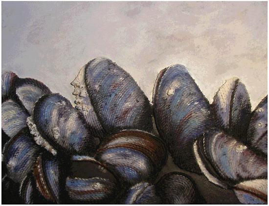 [239995-7-mussels.jpg]