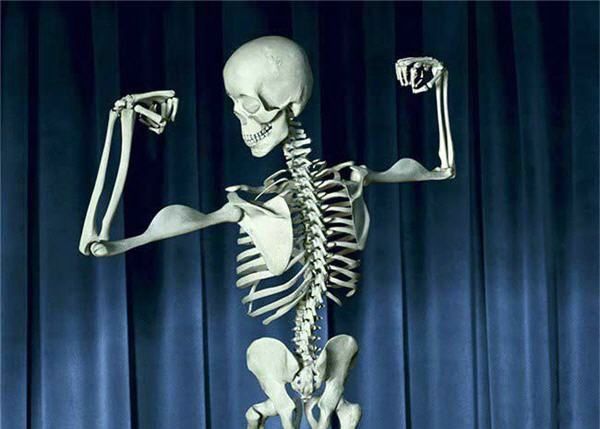 [esqueleto-musculoso.jpg]