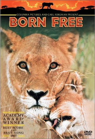 Donald Kwan Movies 戲仍能看 Born Free 獅子與我