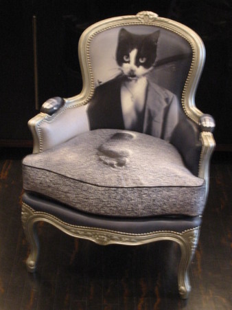 [Cat+Louis+XV+chair.jpg]