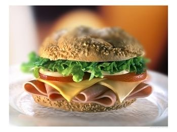 [Ham-and-Cheese-Sandwich-Photographic-Print-C12137382.jpeg]