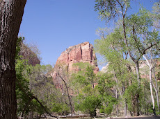 Zion's National Park