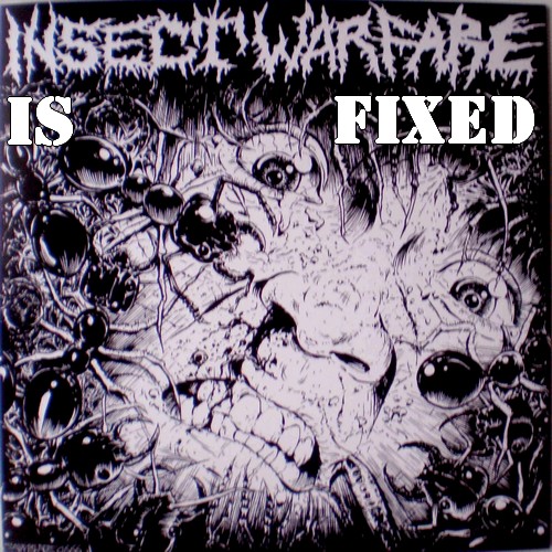 [cover+-+Insect+warfare+-+Carcass+grinder+EP+-+Insect+warfare+front.JPG]