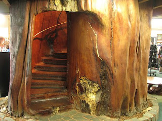   internal-log-stairwa