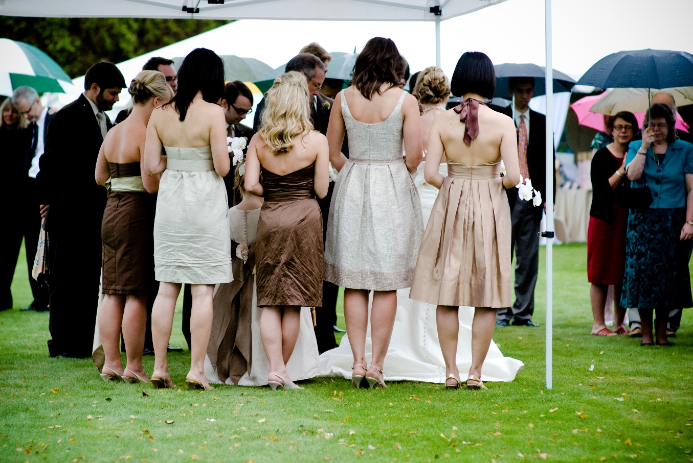 [bridesmaids+from+the+back.jpg]