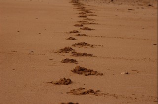 [marcher+dans+le+sable.jpg]