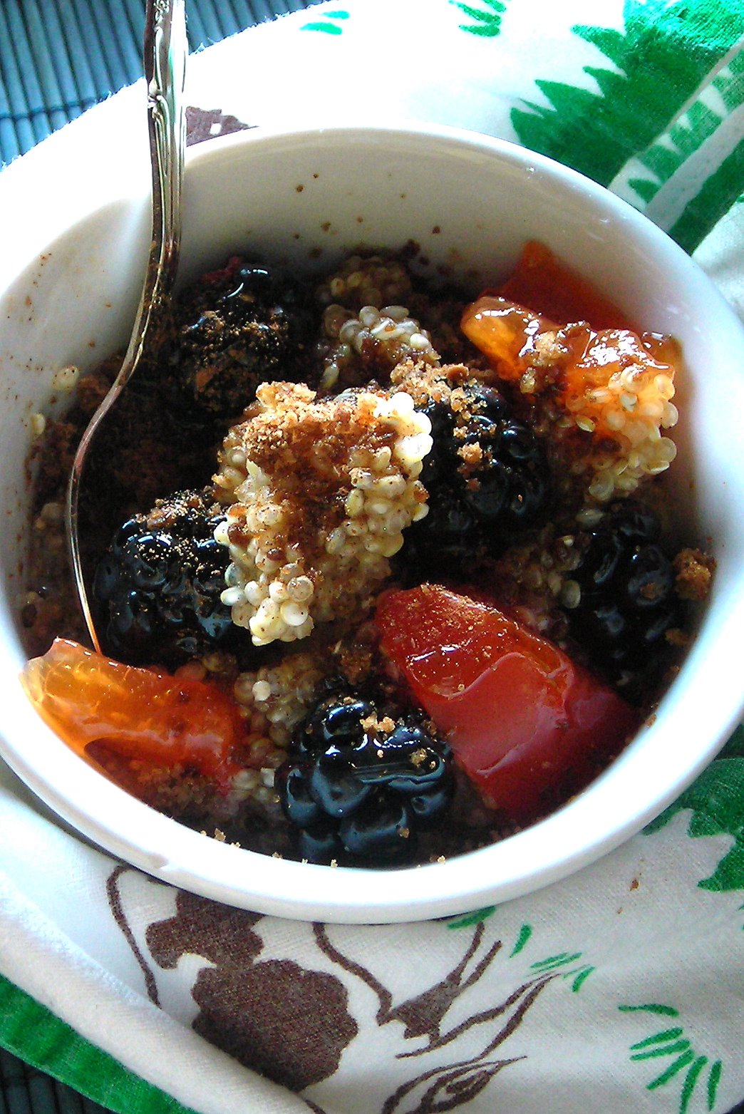 [breakfast+quinoa+fruit.JPG]
