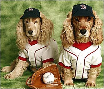 [red-sox-dogs.jpg]
