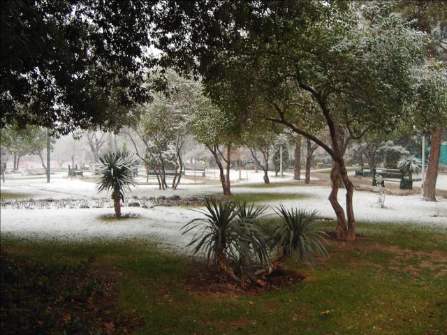 [snowfall+in+park.jpg]