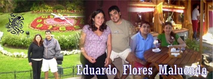 edojflores (Eduardo Flores M.)