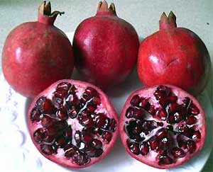 [pomegranates.jpg]