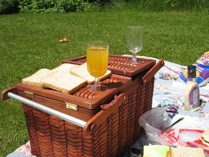 [picnic1.JPG]