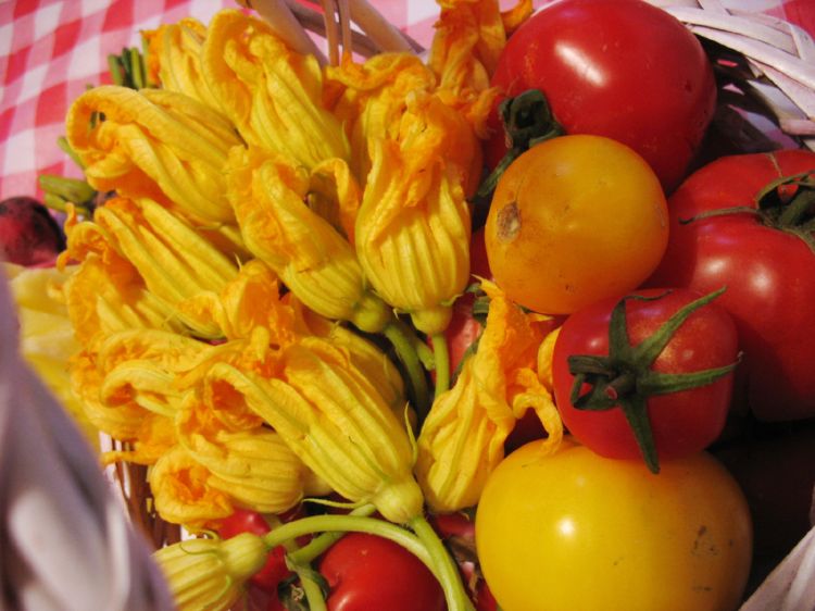 [zucchini+flowers+&+tomatoes+1.jpg]