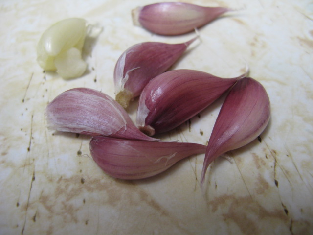 [garlic+1.JPG]