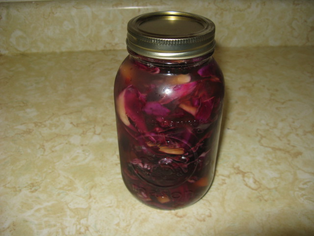 [pickled+red+cabbage.JPG]