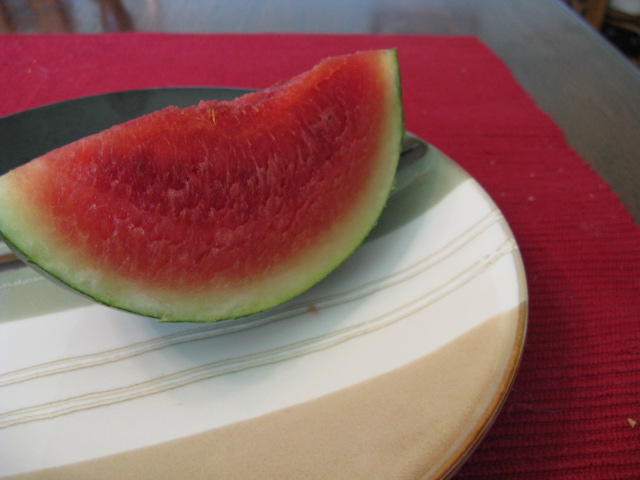 [watermelon+2.JPG]