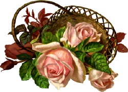 [pink-roses-basket.jpg]
