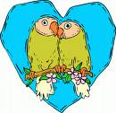 [love+birds.jpg]