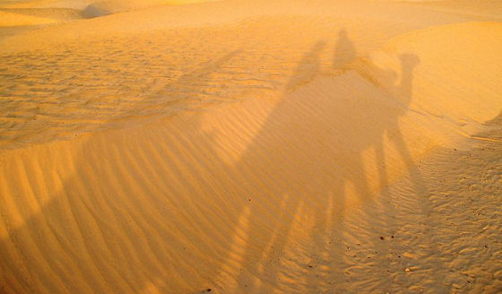Wydmy na Saharze, Mauretania, Afryka