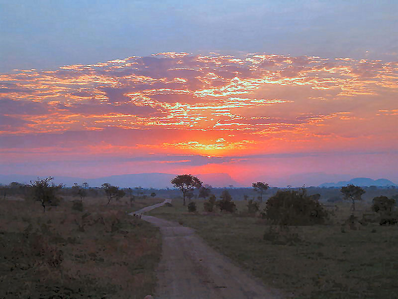 Park Narodowy Krugera, RPA