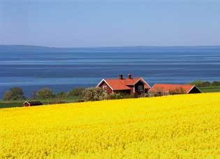 [swedish_cottage.jpg]