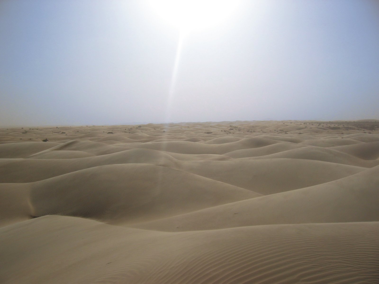 [Sahara_desert.jpg]