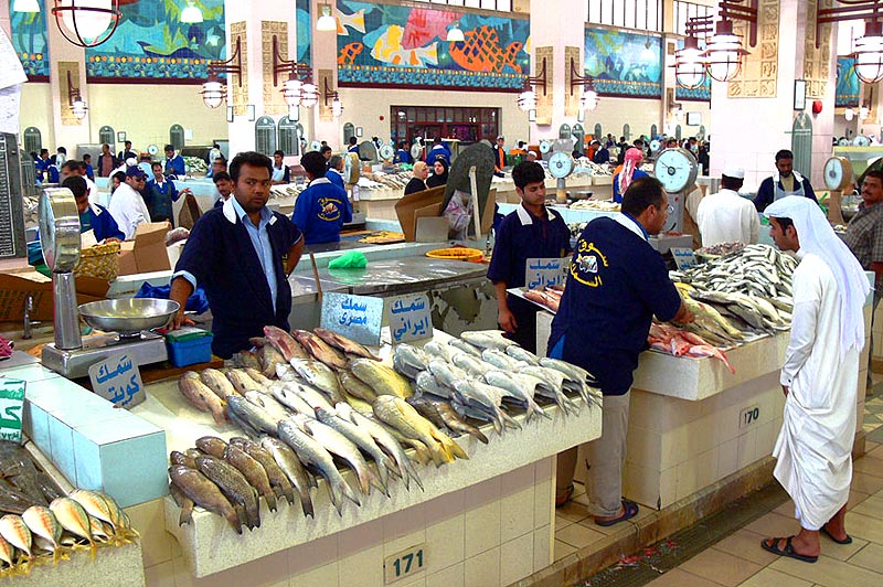 [Fish-Market-14.jpg]