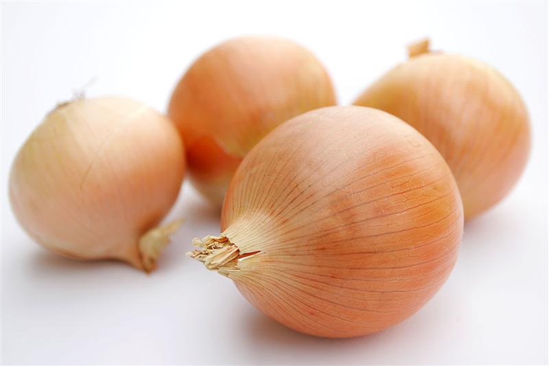 [Onions+(Medium).jpg]