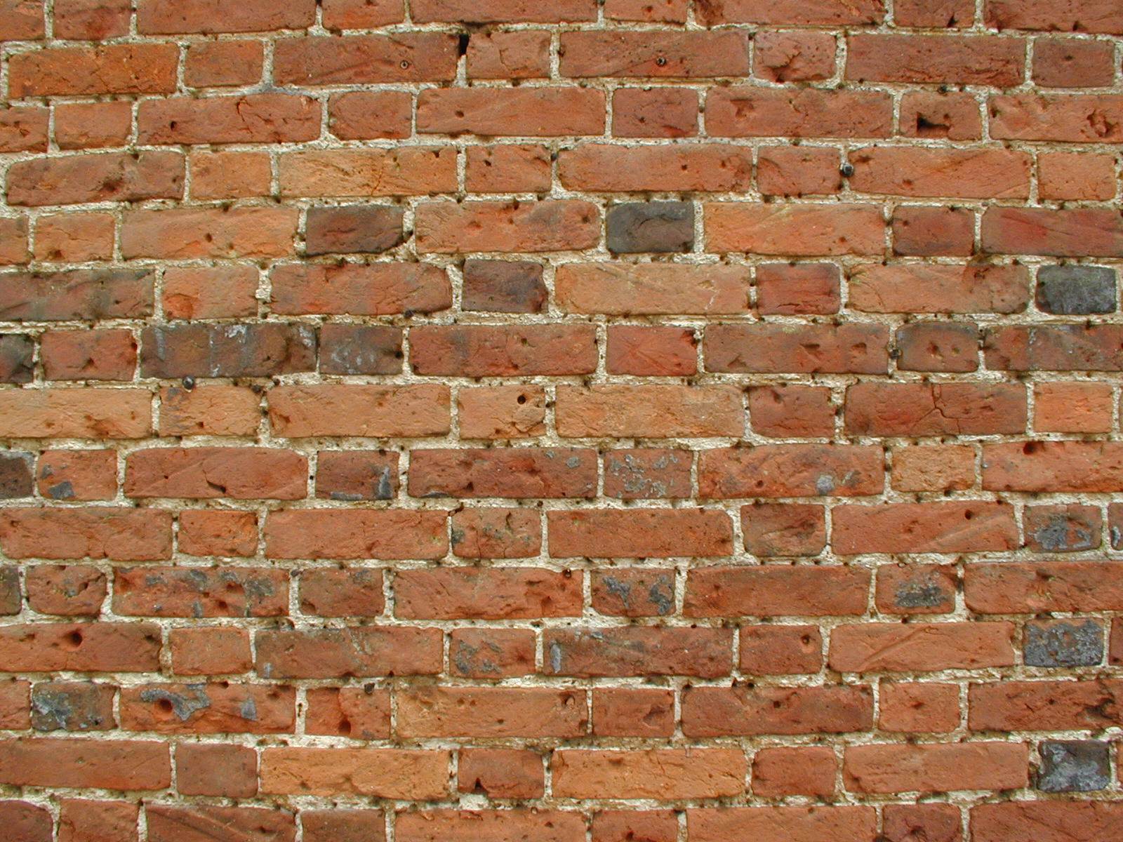 [brick_wall.jpg]