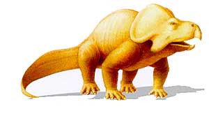[protoceratops.jpg]