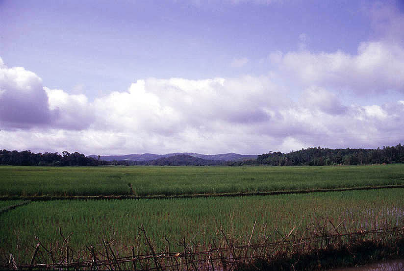 [Agricultural+fields+of+Western+Ghats+in+Shimoga+District.jpg]