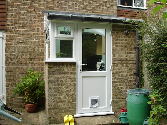 Back Door with cat flap fitted