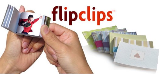 [flipclips+copy.jpg]