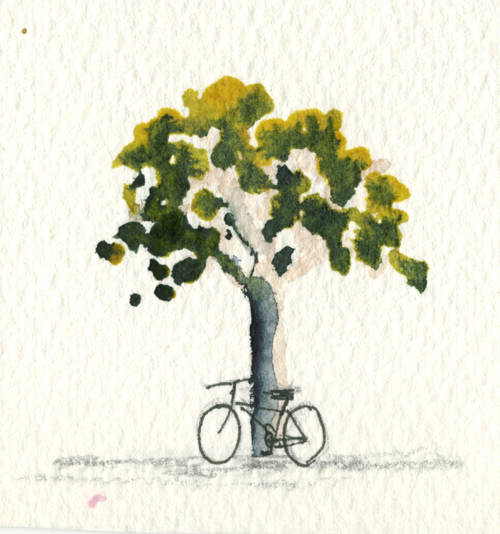 [bicycle+tree+01.jpg]