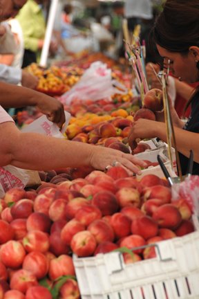 [peaches_farmers+market.jpg]