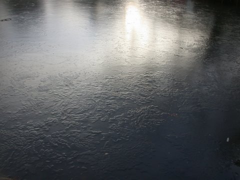 [icey+pond.JPG]