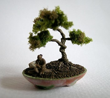 [bonsai.jpg]