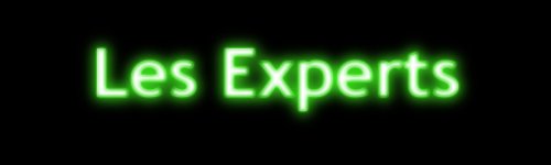 [experts.jpg]