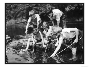 [10083576~Group-of-Children-Fishing-in-a-Stream-with-Nets-Posters.jpg]
