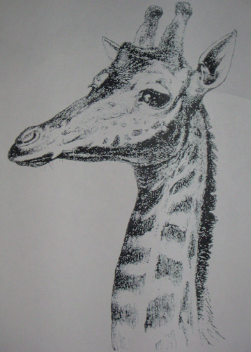 [giraffe+sketch+sm.jpg]