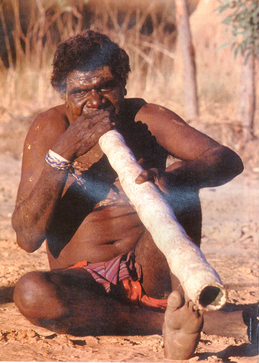 [didgeridoo1.jpg]