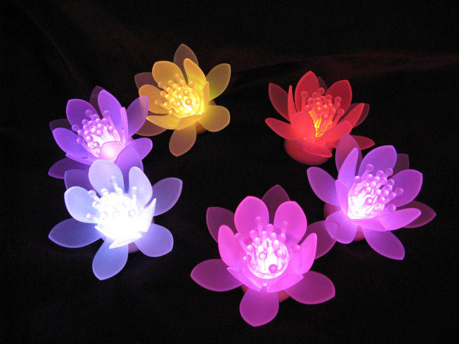 [Waterlily+optic+lights+for+the+bathroom+l.JPG]
