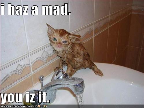 [funny-pictures-wet-mad-cat-sink.jpg]