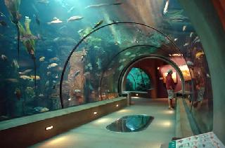 Oregon Coast Aquarium, Passages of the Deep