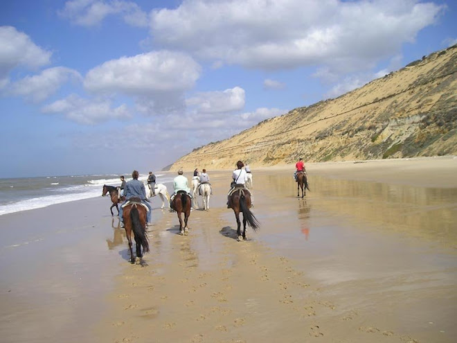 Rutas a caballo por las playas de Doñana