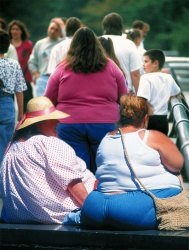 [America's-Obese-C.article.jpg]