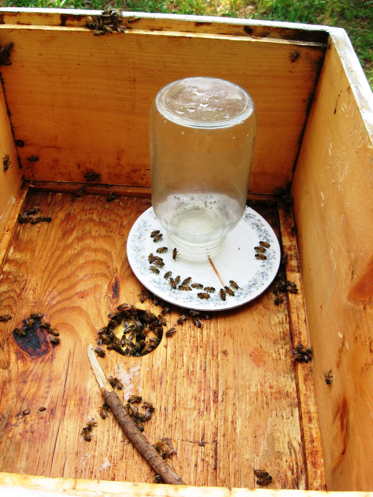[072198+Bees+and+Putting+Honey+in+Jars+006.jpg]
