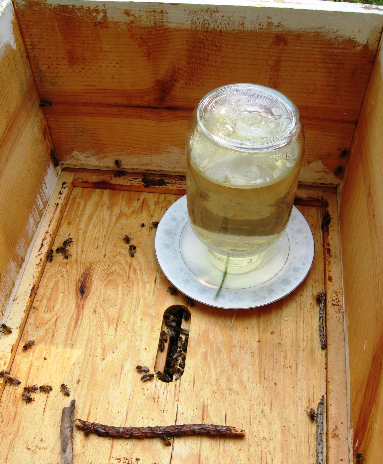 [072198+Bees+and+Putting+Honey+in+Jars+009.jpg]