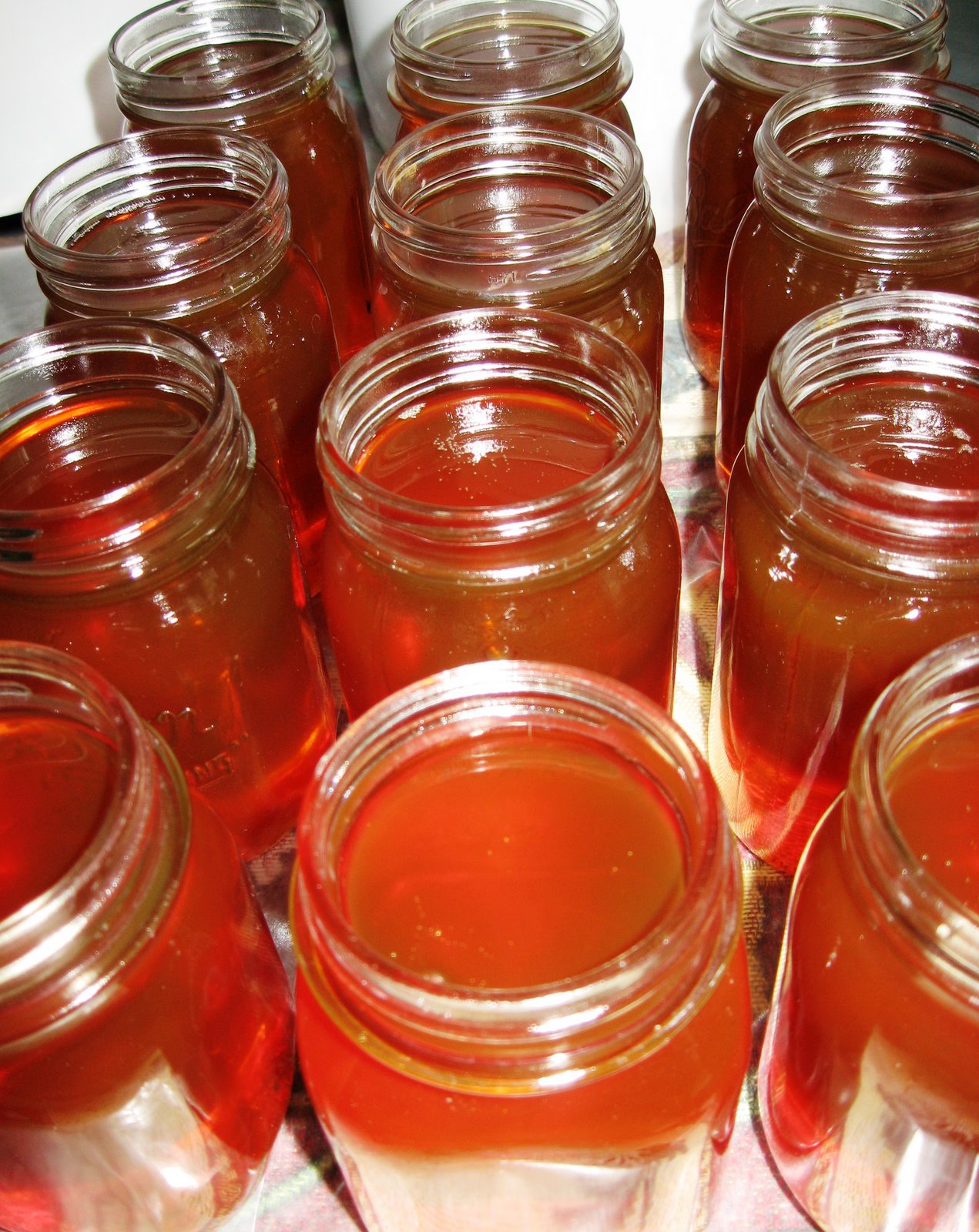 [072198+Bees+and+Putting+Honey+in+Jars+027.jpg]