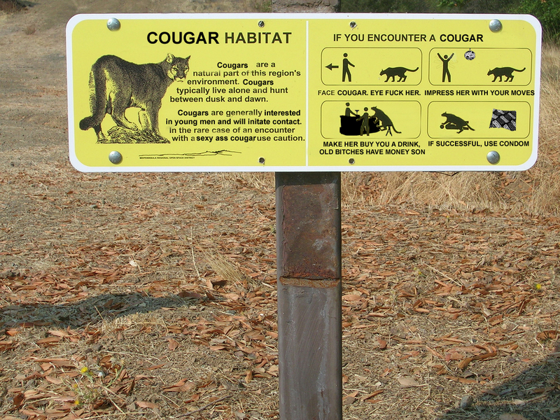 [cougar1.jpg]